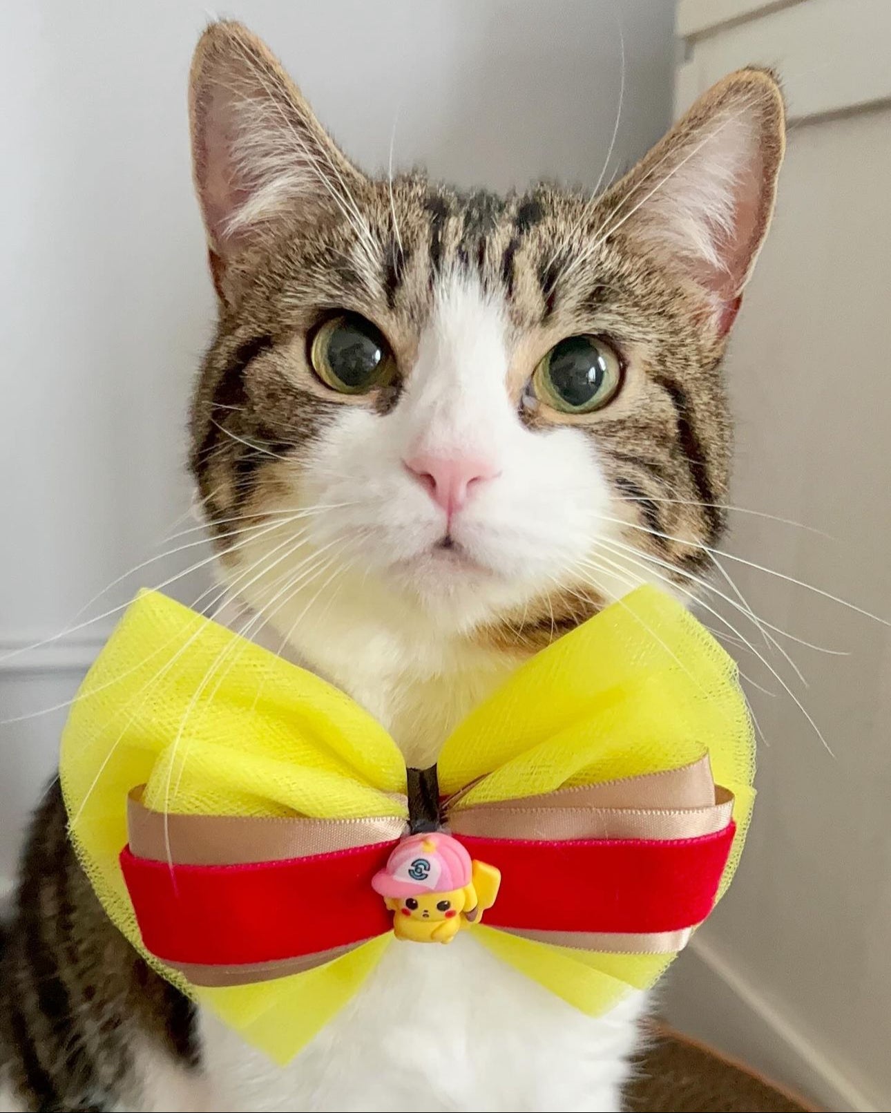 Pikachu Bow