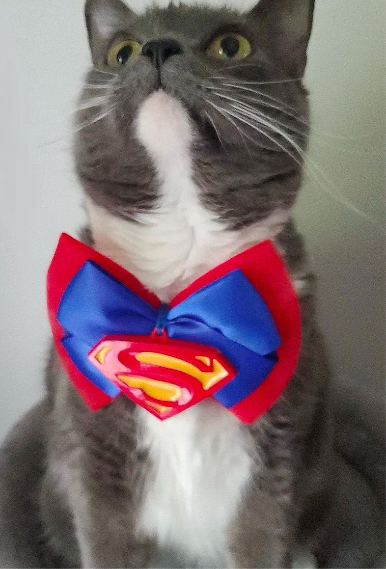 Obi’s Superhero Bow