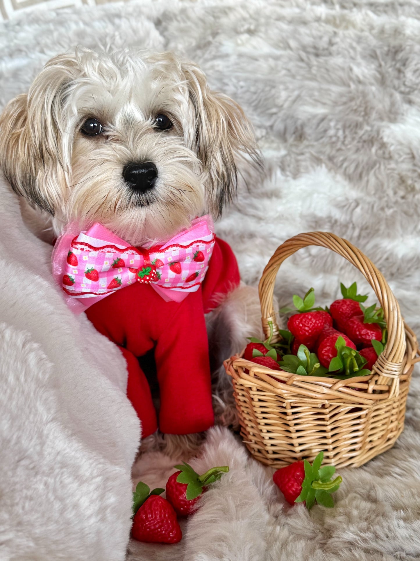 Strawberry Swirl
